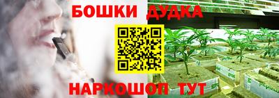 стафф Будённовск