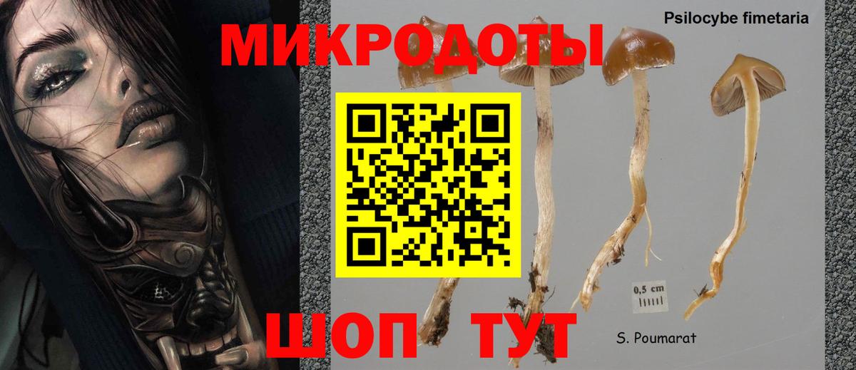 Галлюциногенные грибы MAGIC MUSHROOMS Саратов